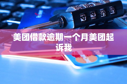 美团借款逾期一个月美团起诉我