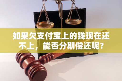 如果欠支付宝上的钱现在还不上，能否分期偿还呢？