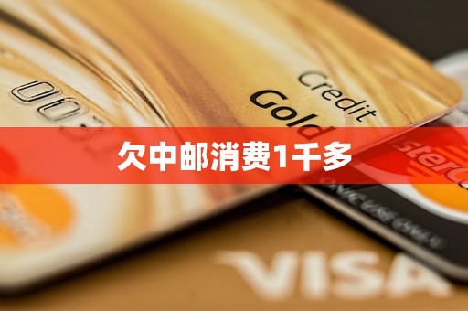 欠中邮消费1千多 欠中邮消费1千多