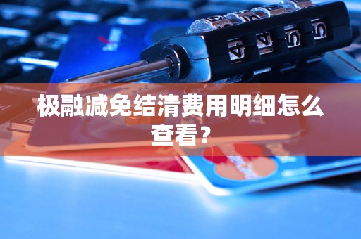 极融减免结清费用明细怎么查看？