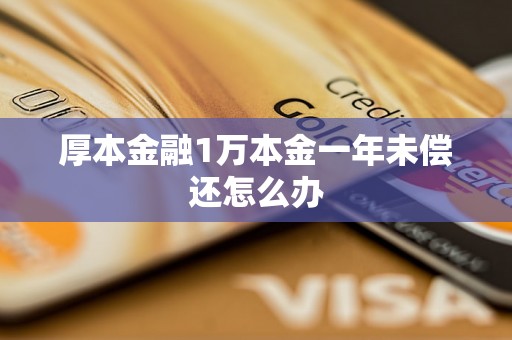 厚本金融1万本金一年未偿还怎么办