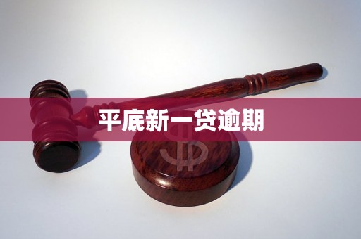 平底新一贷逾期
