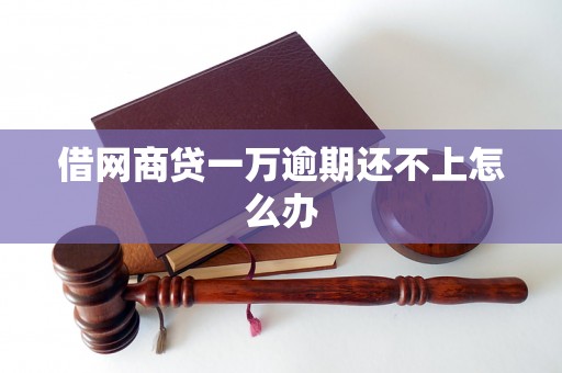 借网商贷一万逾期还不上怎么办