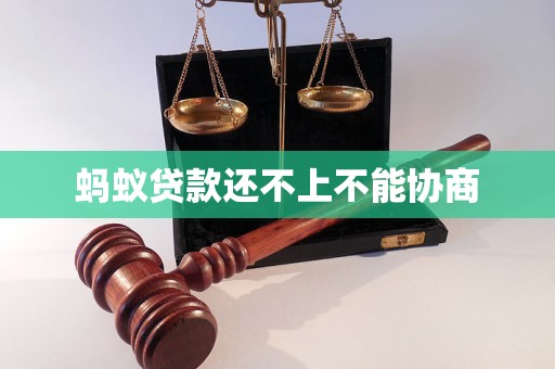 蚂蚁贷款还不上不能协商