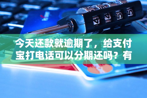 今天还款就逾期了，给支付宝打电话可以分期还吗？有哪些注意事项？