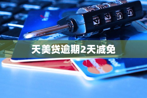 天美贷逾期2天减免