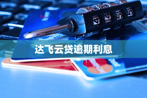 达飞云贷逾期利息
