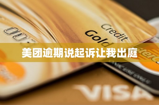 美团逾期说起诉让我出庭