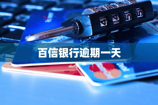 百信银行逾期一天