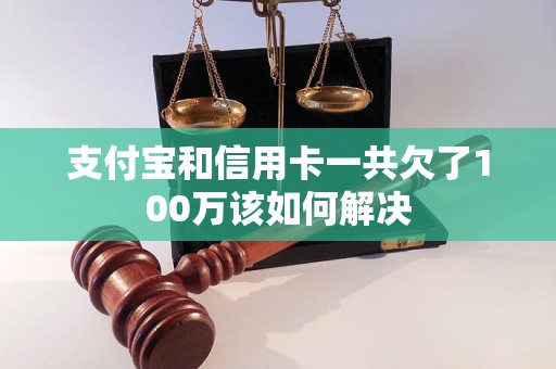 支付宝和信用卡一共欠了100万该如何解决