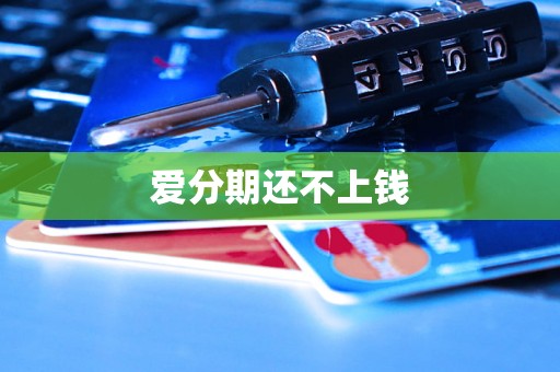 爱分期还不上钱