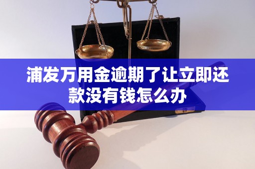 浦发万用金逾期了让立即还款没有钱怎么办 浦发万用金逾期了让立即还款没有钱怎么办