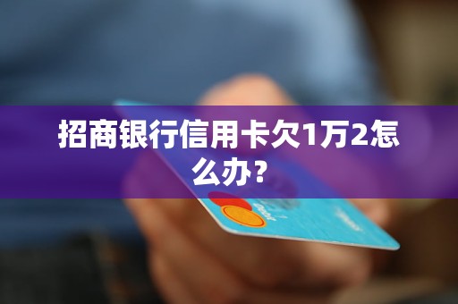 招商銀行信用卡欠1萬2怎么辦？