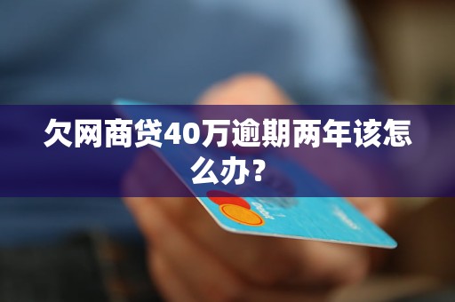 欠網(wǎng)商貸40萬逾期兩年該怎么辦？