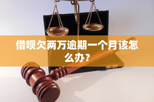 借唄欠兩萬(wàn)逾期一個(gè)月該怎么辦？