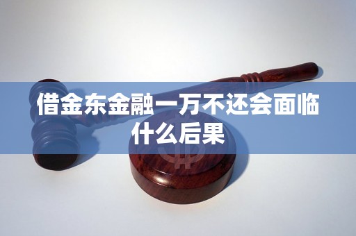 借金东金融一万不还会面临什么后果 借金东金融一万不还会面临什么后果