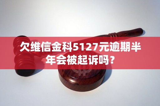 欠维信金科5127元逾期半年会被起诉吗？