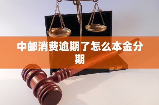 中邮消费逾期了怎么本金分期