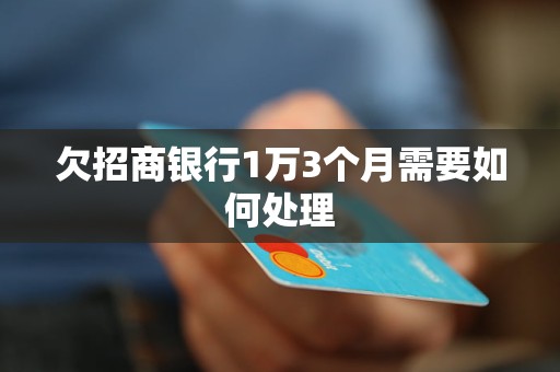 欠招商銀行1萬3個月需要如何處理