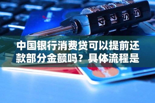 中国银行消费贷可以提前还款部分金额吗？具体流程是什么？