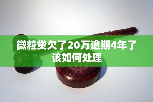微粒贷欠了20万逾期4年了该如何处理