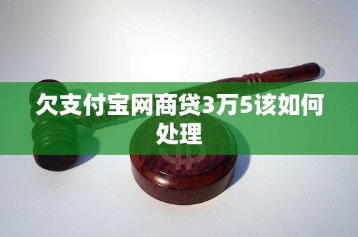 欠支付寶網(wǎng)商貸3萬(wàn)5該如何處理