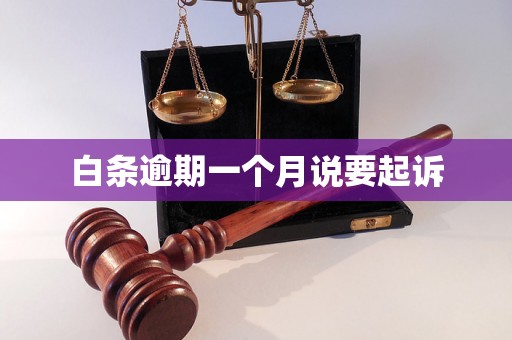 白条逾期一个月说要起诉