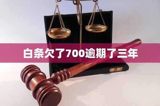 白条欠了700逾期了三年 白条欠了700逾期了三年