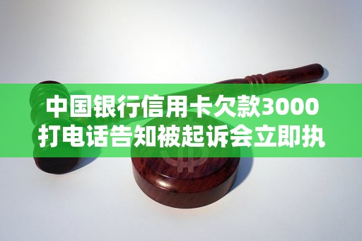 中国银行信用卡欠款3000打电话告知被起诉会立即执行吗