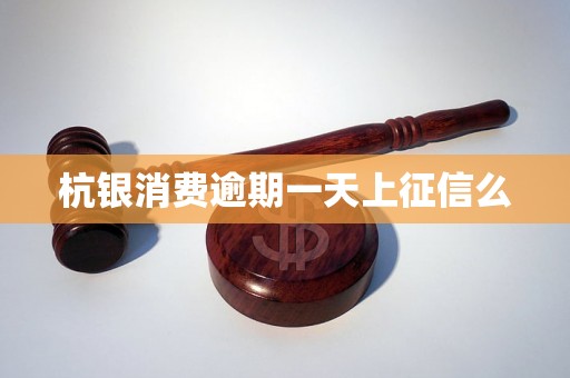 杭银消费逾期一天上征信么