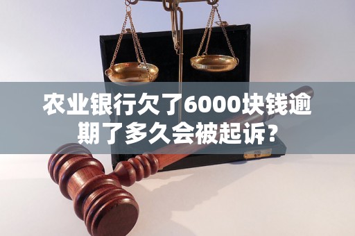 农业银行欠了6000块钱逾期了多久会被起诉？