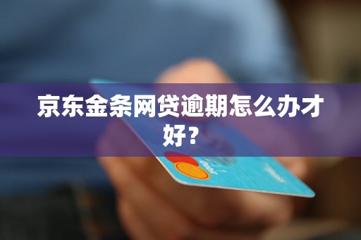 京东金条网贷逾期怎么办才好？