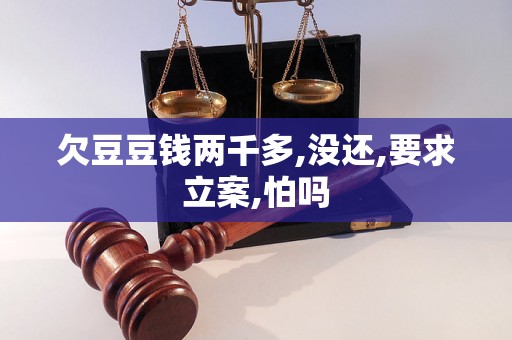 欠豆豆钱两千多,没还,要求立案,怕吗 欠豆豆钱两千多,没还,要求立案,怕吗