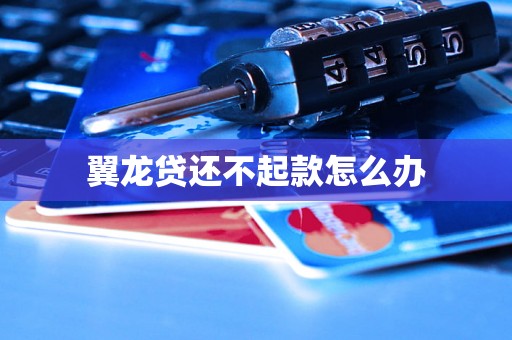 翼龙贷还不起款怎么办