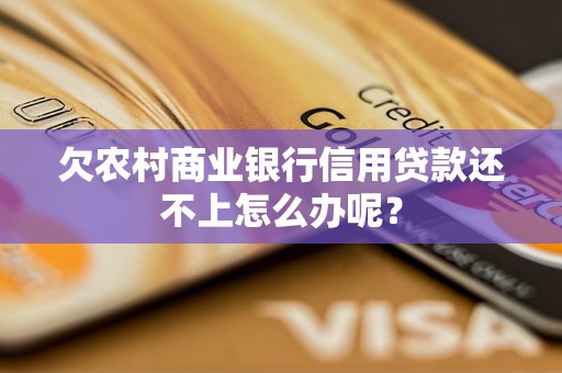 欠農(nóng)村商業(yè)銀行信用貸款還不上怎么辦呢？