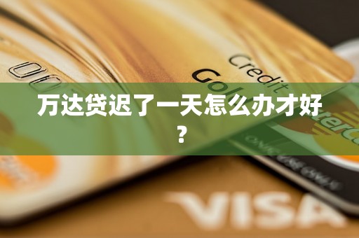 万达贷迟了一天怎么办才好? 万达贷迟了一天怎么办才好?