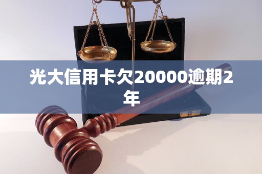 光大信用卡欠20000逾期2年