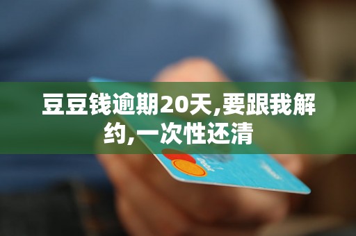 豆豆钱逾期20天,要跟我解约,一次性还清