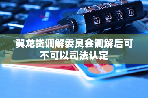 翼龙贷调解委员会调解后可不可以司法认定