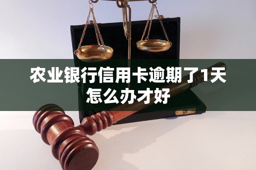 农业银行信用卡逾期了1天怎么办才好