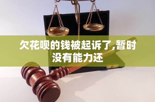 欠花呗的钱被起诉了,暂时没有能力还