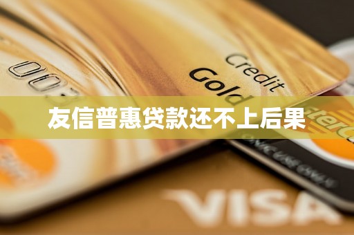 友信普惠贷款还不上后果