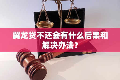 翼龙贷不还会有什么后果和解决办法？