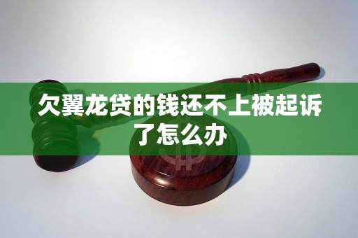 欠翼龙贷的钱还不上被起诉了怎么办