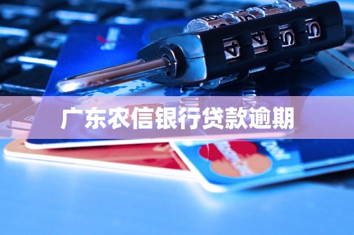 广东农信银行贷款逾期