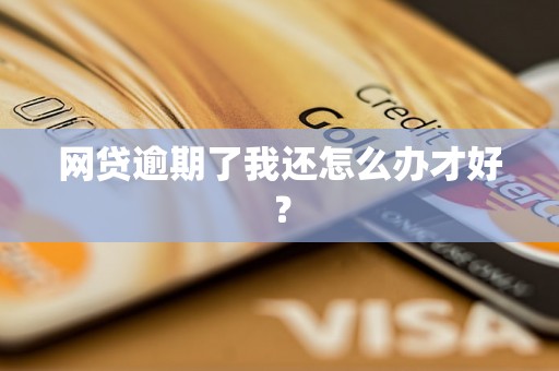 网贷逾期了我还怎么办才好？