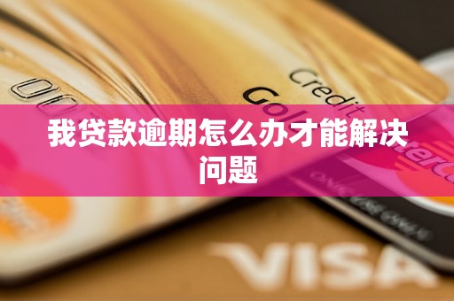 我贷款逾期怎么办才能解决问题