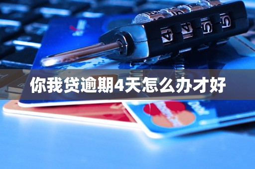 你我贷逾期4天怎么办才好