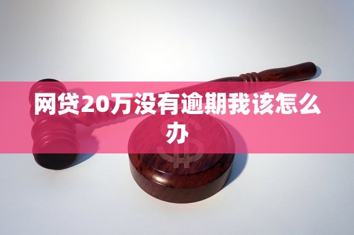 网贷20万没有逾期我该怎么办 网贷20万没有逾期我该怎么办