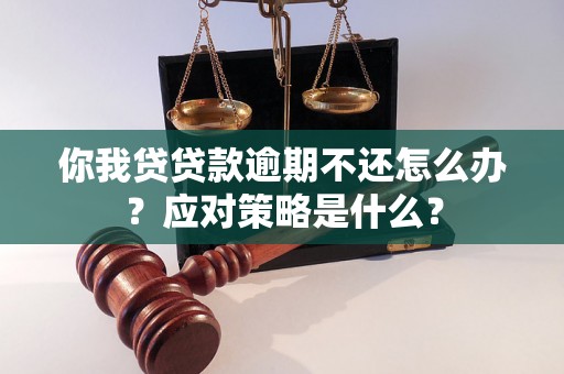 你我贷贷款逾期不还怎么办？应对策略是什么？